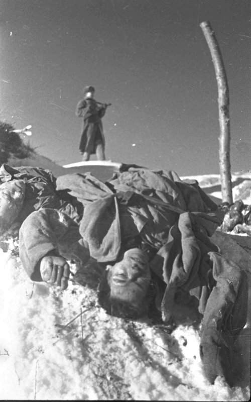 In the liberated Nazi POW camp (Stalingrad region)