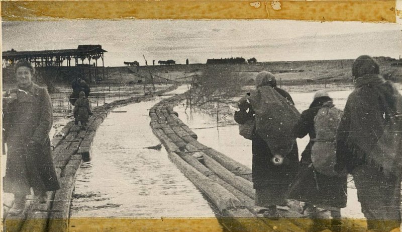 Image: One of the firing points of the system of the German defensive zone on the Molochnaya River