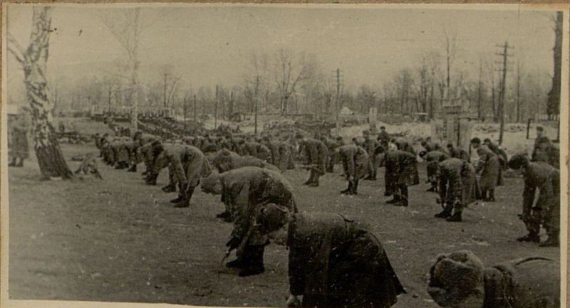 Фотография: На политзанятиях