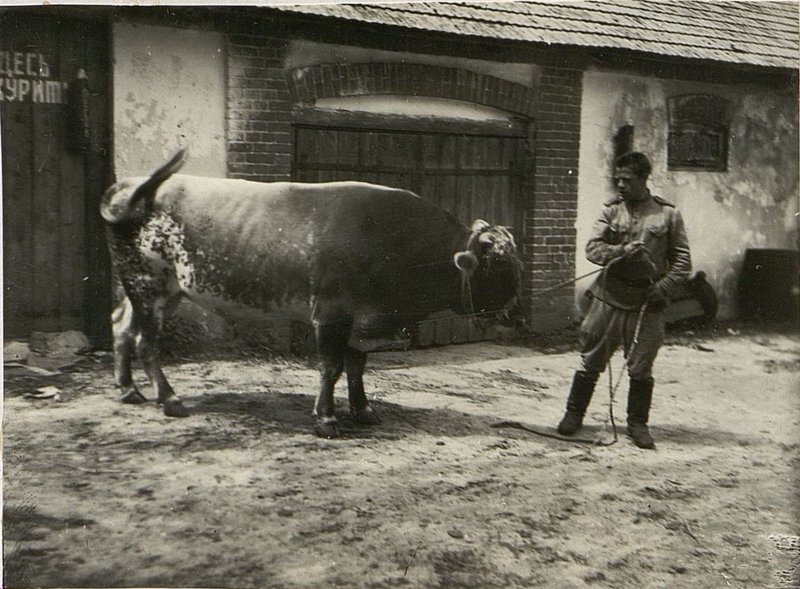Фотография: История 9 головного авиасклада