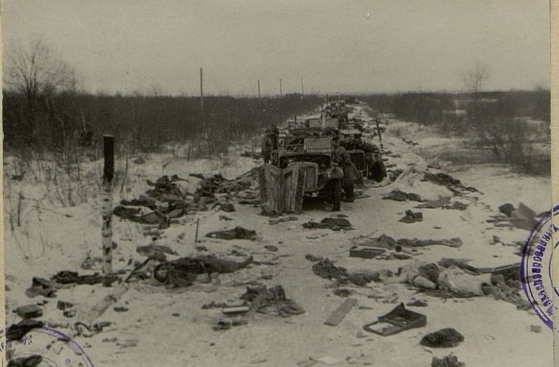 Image: German column of the anti-tank battalion, defeated in Podberezie
