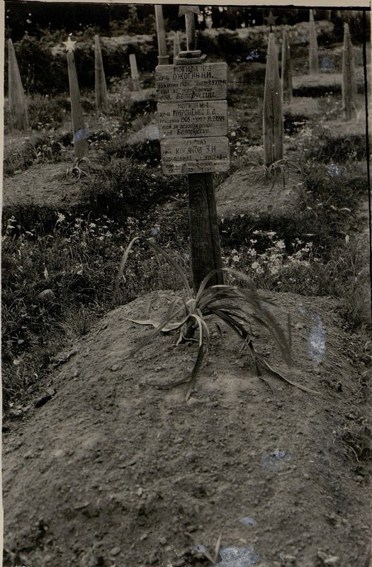 Image: Military burial of Kosyakova Z.N., Mironenko V.D., Ozhogina A.I., Shchuchin, north-western outskirts