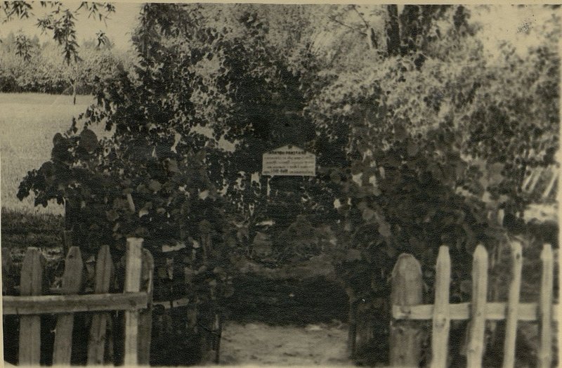 Фотография: Могила № 3, Гродненская обл., Лидский район, Радионишский сельский совет