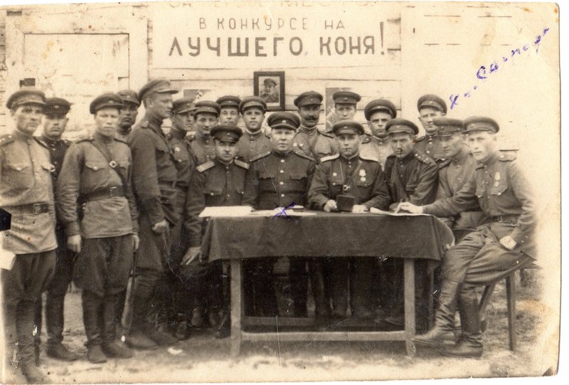 Конкурс «На лучшего коня»