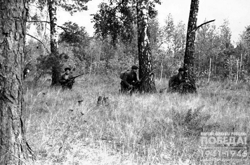 Partisans one of the detachments  waiting for the enemy on a forest road