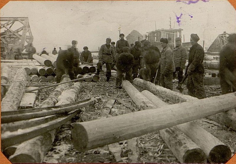 Image: Harvesting of piles
