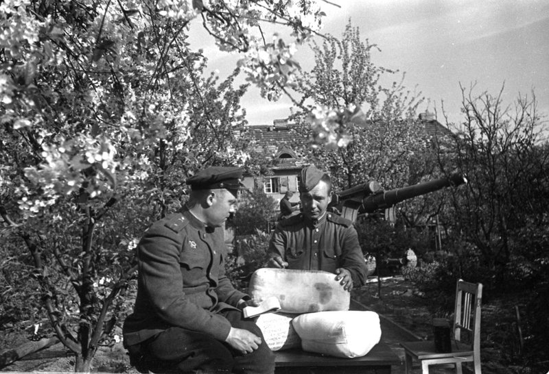 Без названия
