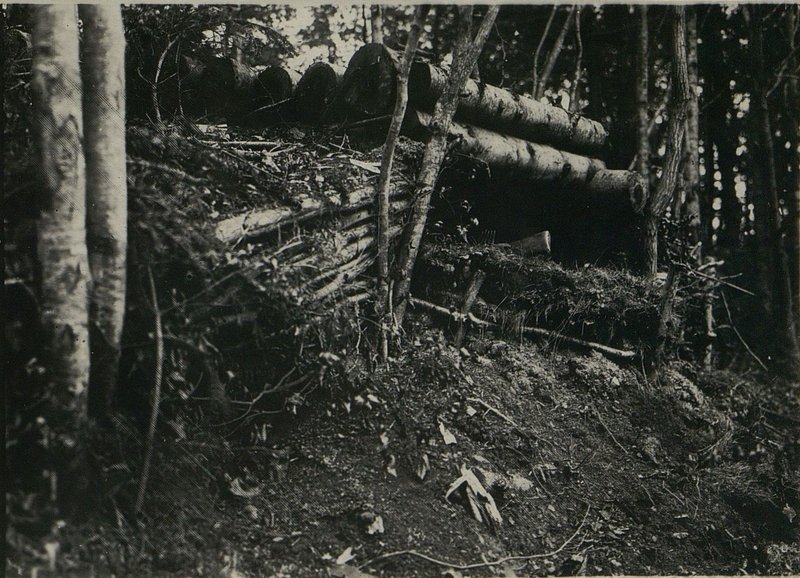 Image: Dugout in the area of Uzhoksky pass, zone of action 95 rifle corps