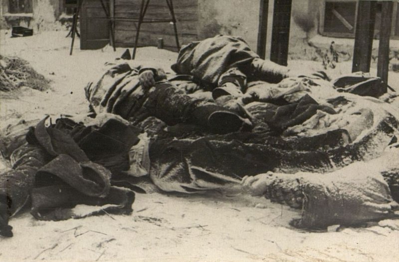 Фотография: Расстрелянные немцами в Ельце воины Красной Армии