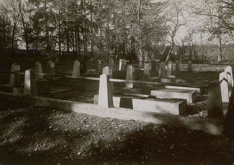 Фотография: с. Зульц. Воинское кладбище