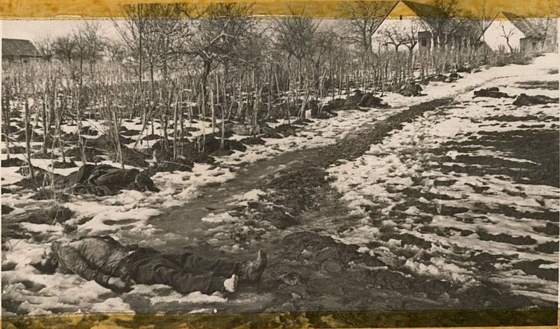 Фотография: Под Будапештом