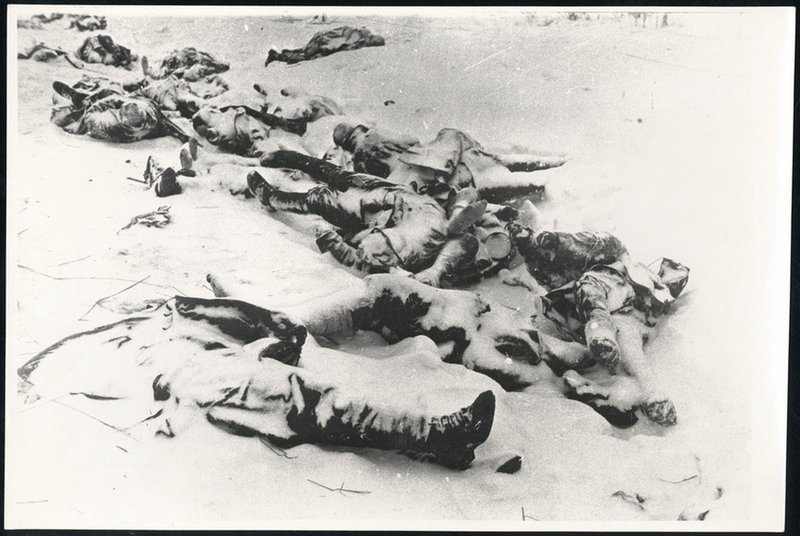 The Germans near Leningrad