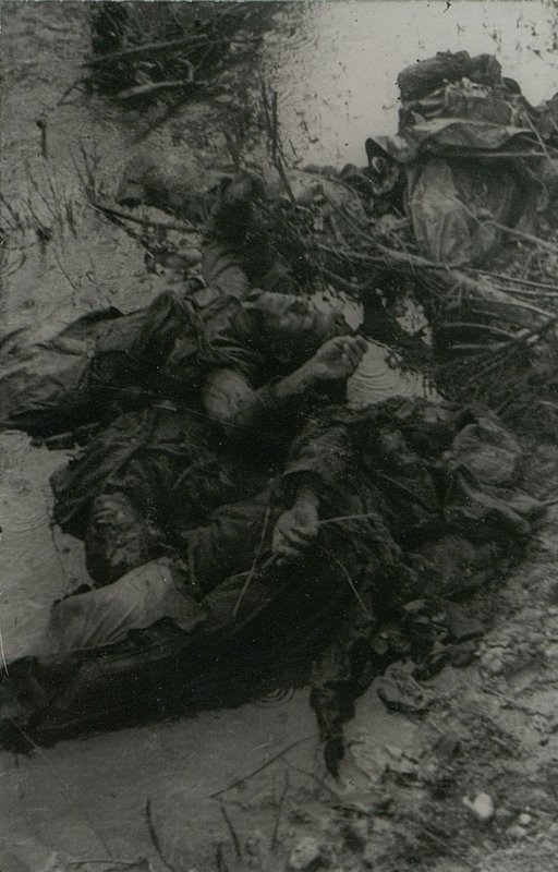 Фотография: Разгром бродской группировки немцев