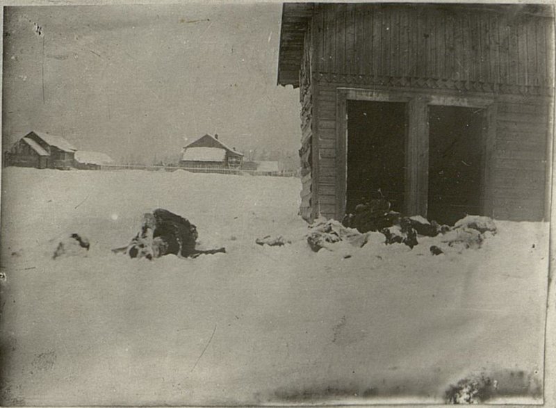 Image: Prisoners of the Red Army, shot near the restroom, Ostashkovsky district, village Aleksandrovka