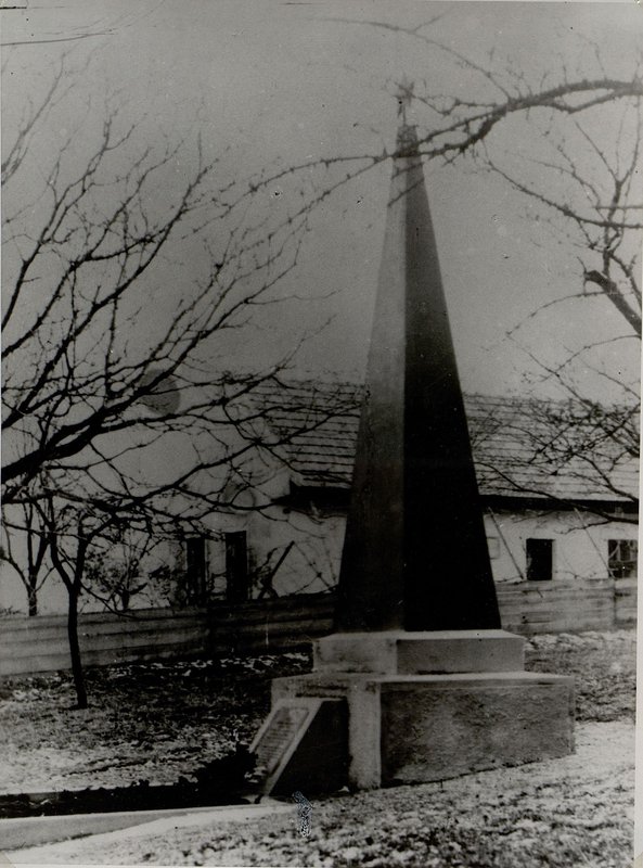 Фотография: с. Кронберг. Братская могила