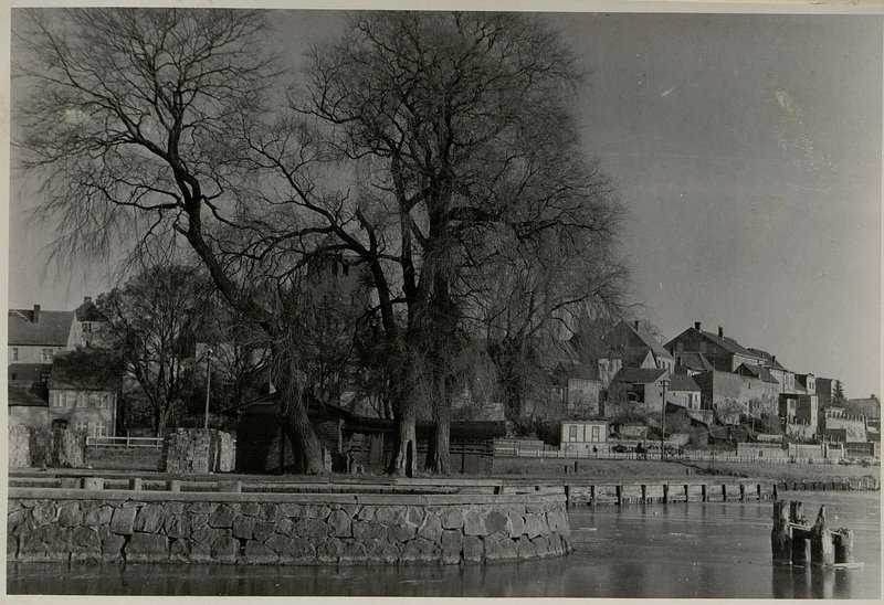 Фотография: г. Варен. Вид с озера Мюритц