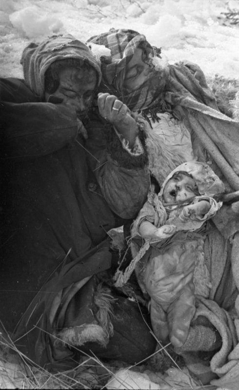 "Kalinin Front. In liberated Rzhev. Corpses of the murdered civilian population (women and children)."