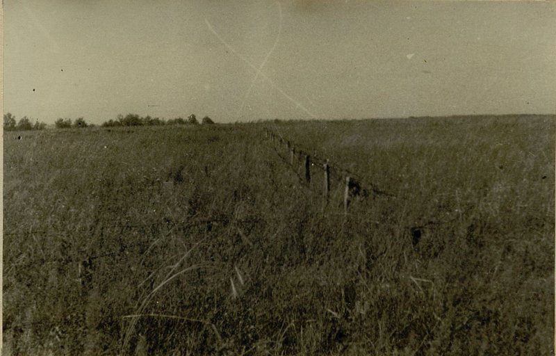 Фотография: Проволочный забор