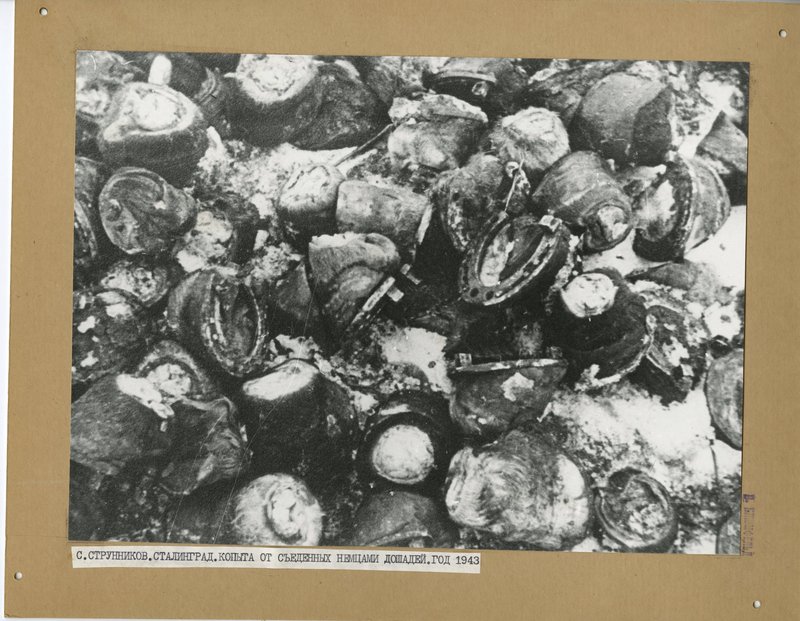 "Horse Hooves Left After Being Consumed by Germans"