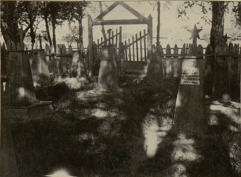 Image: Mass graves are located on the South-Eastern outskirts of the civil cemetery of the village of Khvastovichi, Khvastovichsky village council, Glussky district, Bobruisk region