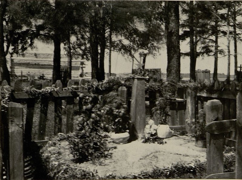 Image: The mass grave is located in der Dokol, Glussky district of the Bobruisk region on the southern outskirts of the civil cemetery