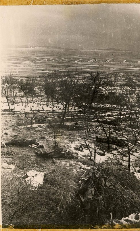 Фотография: Под Будапештом