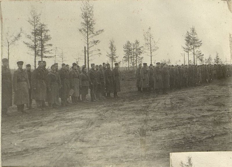 Image: In tactical lessons. 3rd battalion before going on the march