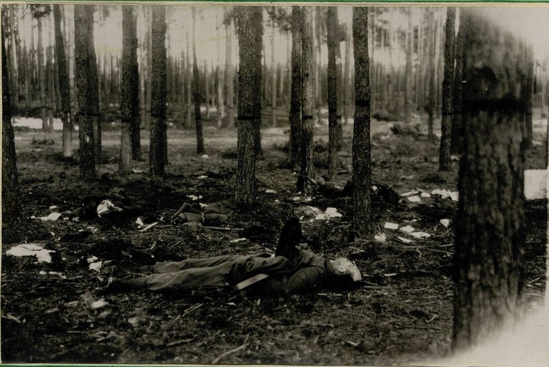 Фотография: Живая сила противника уничтоженная юго-восточнее Берлина