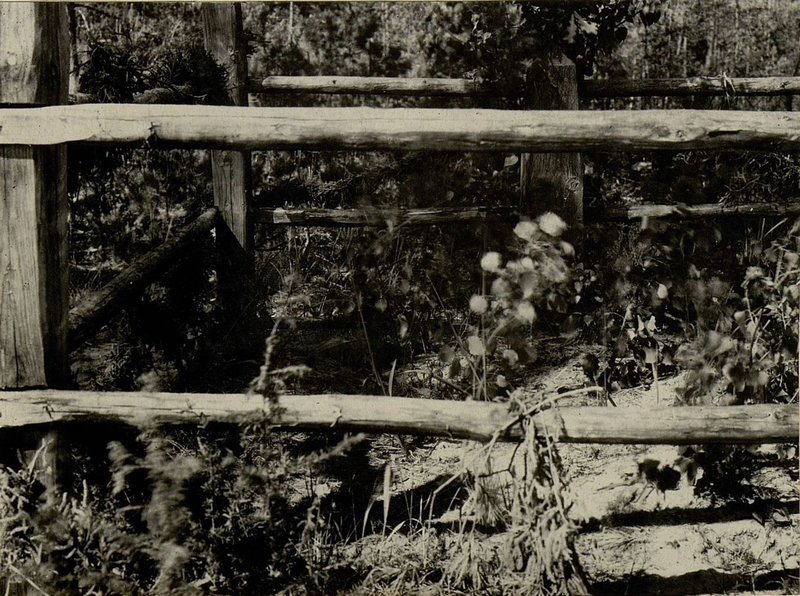 Image: The individual grave is located in der Batsevichi on the Northern outskirts, Klichevsky district, Bobruisk region