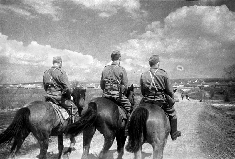 Без названия