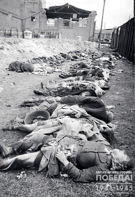 Corpses of Datscig civilians, shot by German invaders on the eve of their retreat