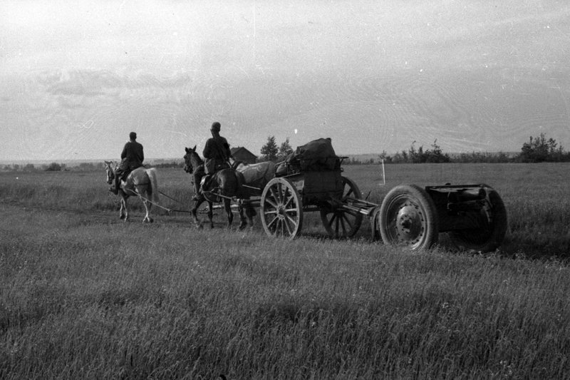 «Калининский фронт. Перевозка 76-мм полковой пушки образца 1927 года.»