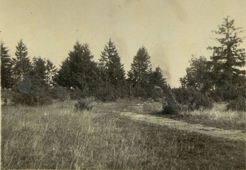 Фотография: Общий вид огневой позиции