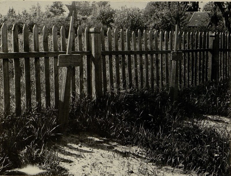 Image: The mass grave is located on the western outskirts of the orchard, 100 meters from the accounting department of the Zavolochitsy state farm. Glussky district, Bobruisk region