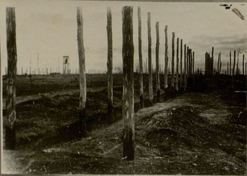 Фотография: Строительство бараков