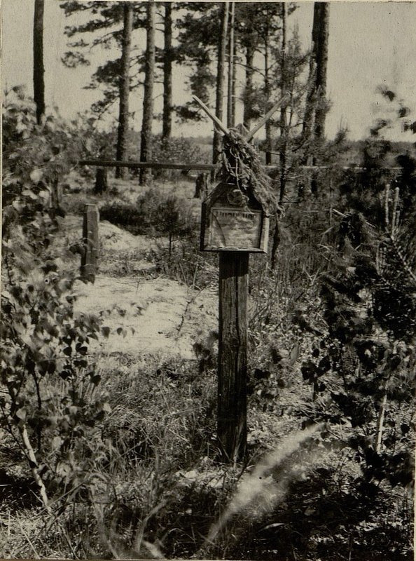 Image: The individual grave is located east of 150 m der Urochishche-Podkovez, Voevichsky village council, Klichevsky district, Bobruisk region.