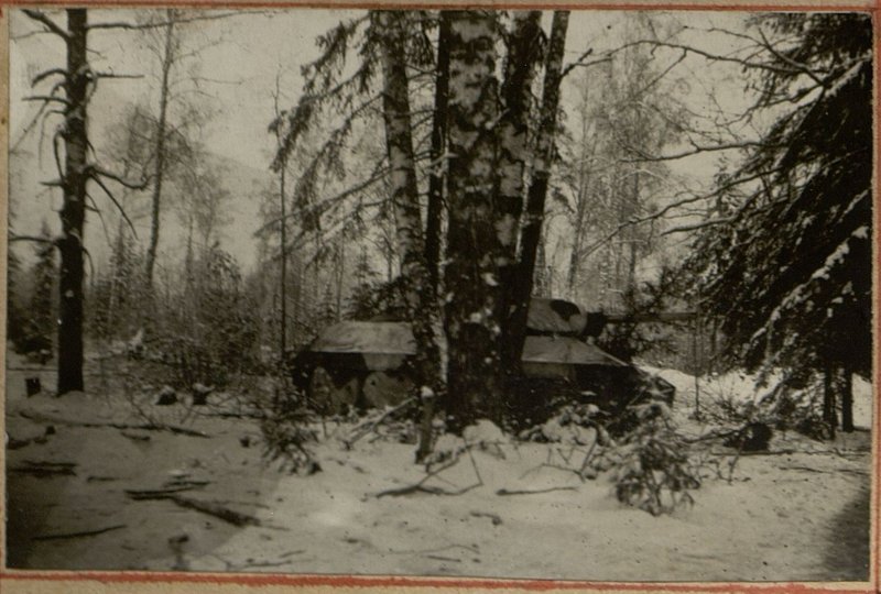 Фотография: Маскировка