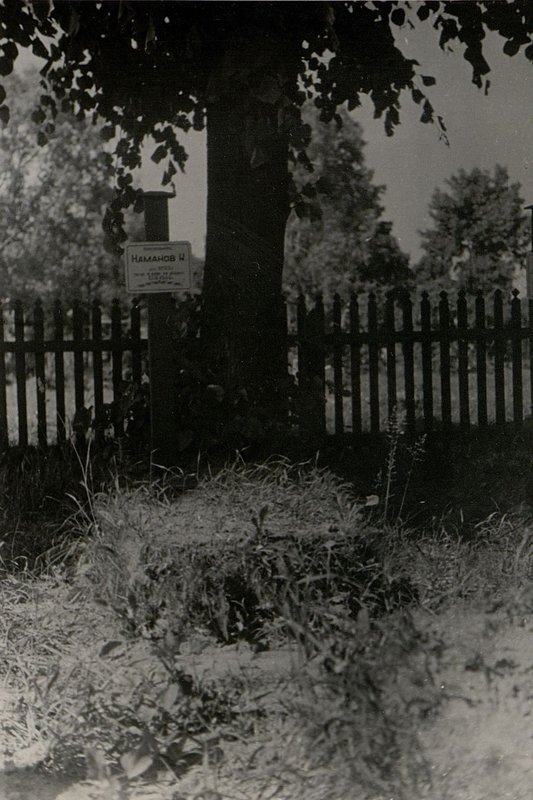 Фотография: Воинское захоронение красноармейца Наманова Книсенбая