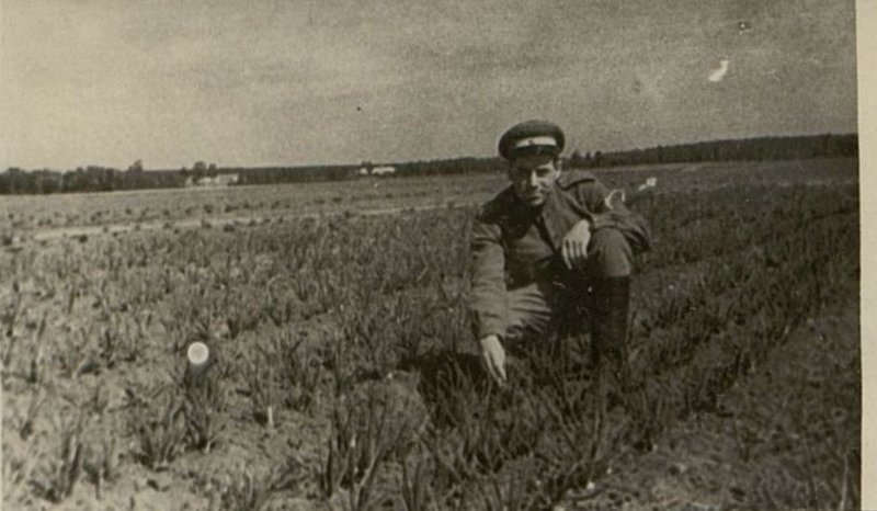 Фотография: Подсобное хозяйство