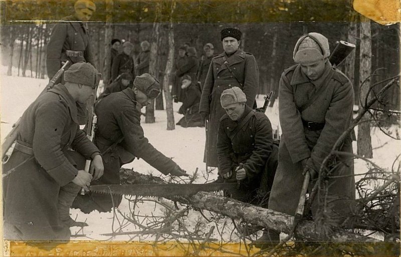 Image: Sappers harvest timber to build a road in the mountains