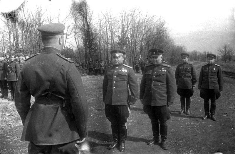Без названия