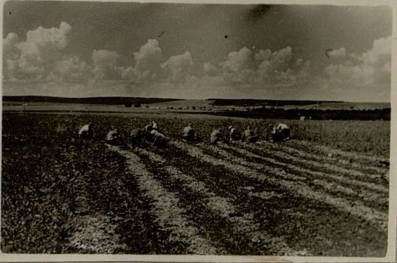 Image: Carrying out works on the subsidiary farm