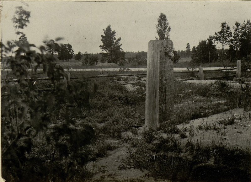 Image: The mass grave is located northeast of 200 m der Pavlovka, Gress district, Bobruisk region