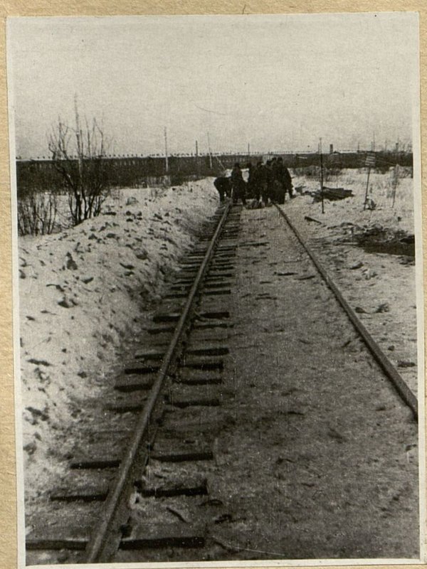 Фотография: Укладка нашпальников на временном подходе правого берега