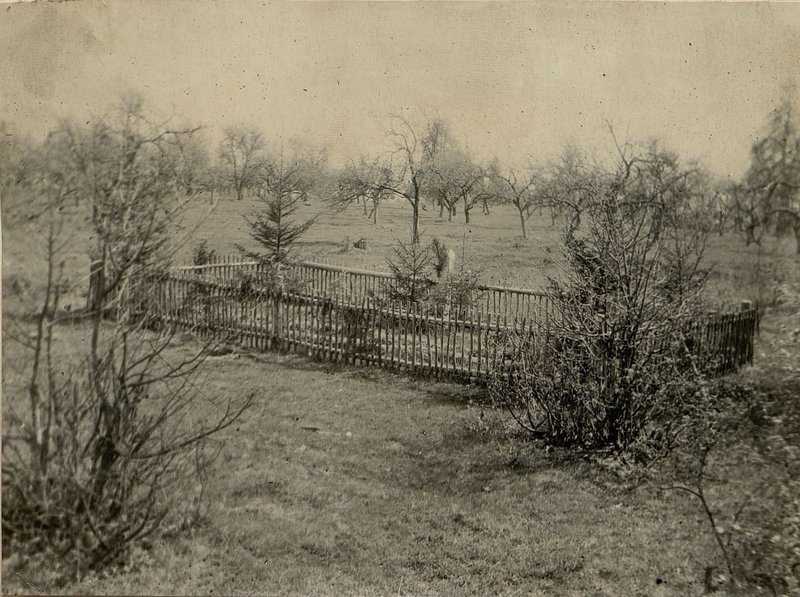 Image: The mass grave is located in the garden Southwest of the village of Kotelniki