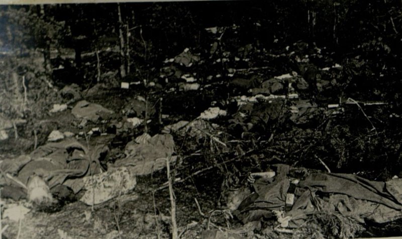 Image: Defeat of a group of German troops south-east of Berlin. On the battlefields - thousands of enemy corpses and broken German equipment
