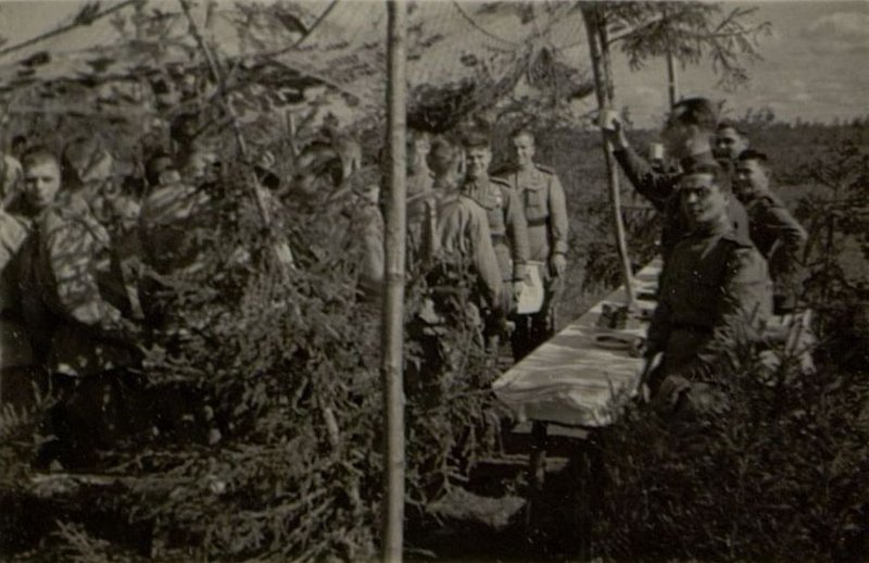 Image: At the festive table