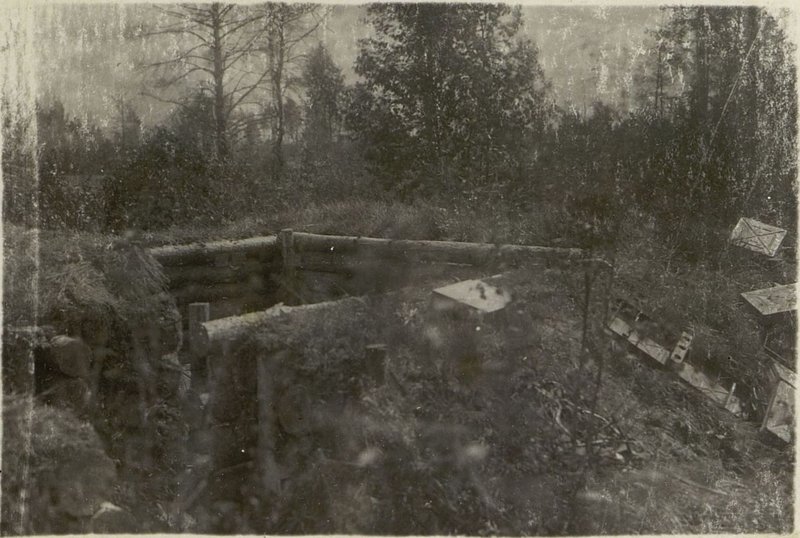 Image: Mortar trench