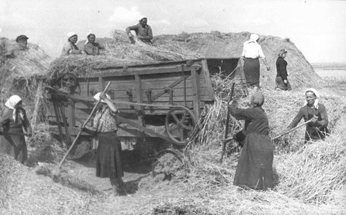 Молотьба хлеба в звене М.И. Илюхиной. 1943 г. Пензенская область.