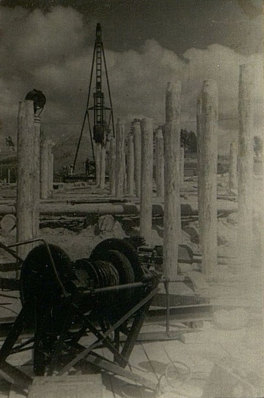 Фотография: Общий вид забитых свай